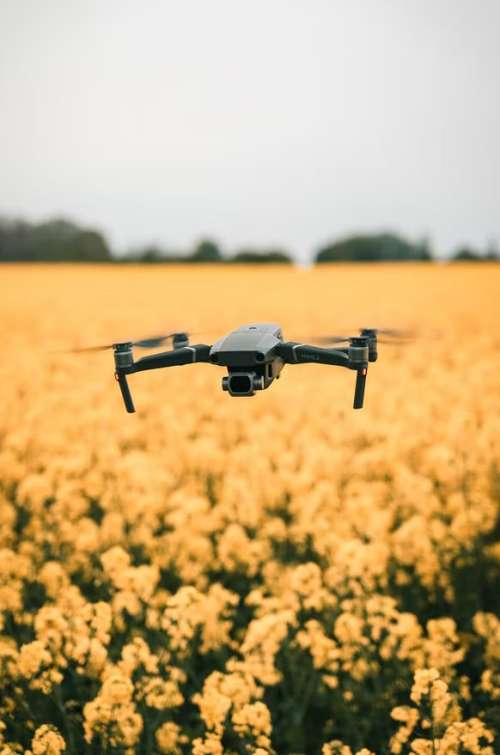 drone flying over a garden